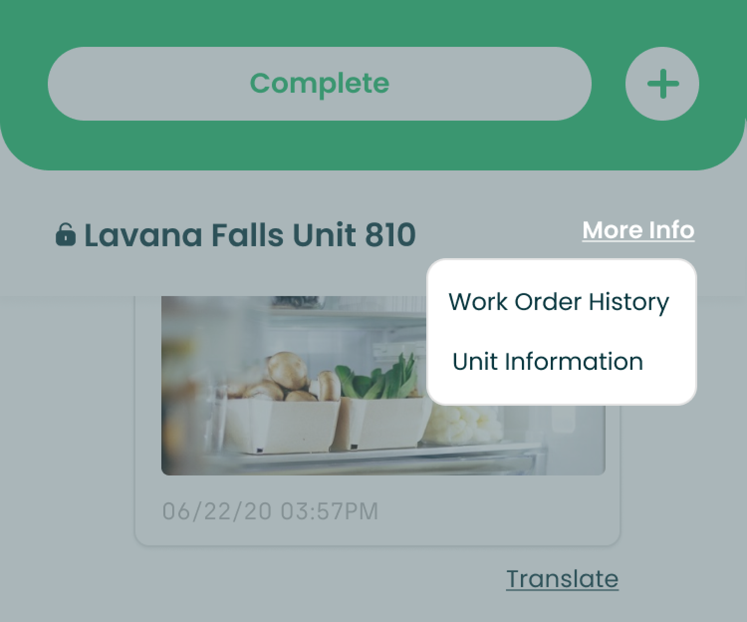 Single Work Order Overview